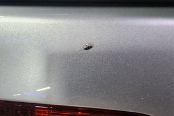 2021 Audi Q7 с пробегом 52 100 км